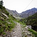 Sentiero verso l'Alpe Quarnei