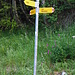 Signpost at Parweirsch P.1012. Alp Ladils is not mentioned, but Muntaluna is.