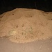 riiieeesiger Ameisenhaufen (sieht kleiner aus als er ist)