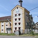 Velké Březno, Březňák-Brauerei