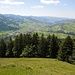 Beerenwiti - Nesslau und Wolzenalp
