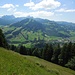 Beerenwiti - Speer