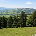Beerenwiti - Ennetbühl und Gössigenhöchi