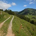Blick Richtung Risipass mit der Lauchwies