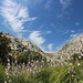 unterwegs in schöner Landschaft