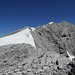 das leichte letzte Stück zum Gipfel- ein steiler Schneewulst musste aber noch überschritten werden