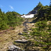 Trail just below the Picnic Rock