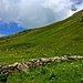 Über diese Mauer und dann nach rechts die Wiese bis zum Grat hinauf