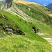 über gut gestuftes, steiles Gras gehts in die Scharte zwischen den Gipfeln