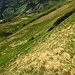 recht steiler Abstieg vom Vorgipfel in gut gestuftem Gras