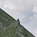 nochmals der Steinadler - bei Klick auf das Bild sehr gut zu erkennen