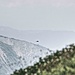 Steinadler, leider reicht das 300mm Objektiv nicht aus