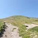 Der weite Nordostrücken, über den der wohl leichteste Aufstieg au den Monte Cusna führt.
