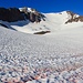 Almost at the base of Leavitt Peak<br />The "blood snow" is [https://en.wikipedia.org/wiki/Watermelon_snow Watermelon snow]: Chlamydomonas nivalis