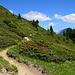 Der Wanderweg ist stets deutlich erkennbar. Man muss ihn aber auch mit Bikern teilen.