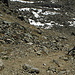 Scree surfing zone west of P.2794 - view from above.