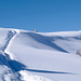Spur im Schnee 1