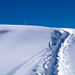Spur im Schnee 2