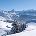 Sanfte Rücken vor der Kulisse der Berner Alpen