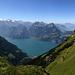 View from below Huser Stock to the Urnersee, here’s where the view gets more and more spectacular