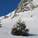kleiner Baum im tiefen Schnee