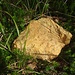 Pepita d' oro.