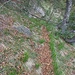 Tracce di sentiero arancione-marroncino.