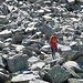 La pietraia di discesa dal Monte Tignoso.