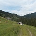 Schlagalm-Idylle