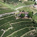 Blick vom Schloss Tirol auf die Weinberge in der Umgebung.