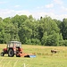 Typischer Zetor-Traktor beim Glätten einer Weide