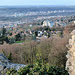 Aussichtspunkt Schloss Dorneck: Sicht aufs Goetheanum, Dornach und Reinach BL