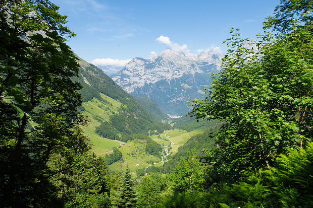 Bodenberg 1002m Tourenberichte und Fotos