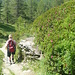 Entgegen kam uns niemand! Bergab trafen wir auf der ganzen Tour eine 78jährige Wanderin, sonst waren wir allein!! Aber die Saison ist Ende Juni in der Schweiz noch nicht eröffnet. Welch ein Glück für uns.
