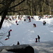 esercito di bambini che danno sfogo ai giochi sulla neve,all'alpe Vicerè