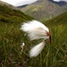 Capelli al vento ............................