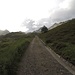 <b>Dopo il corroborante, continuo la passeggiata sotto una leggera pioggia, su una pista agricola che sale dolcemente verso l’Alpe Carorescio (2127 m), il corte dell’Alpe Piora. </b>