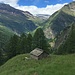 Alp de la Bedoleta