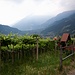 Am Start der ersten Wanderung zum Algunder Waalweg im unteren Teil von Dorf Tirol.