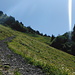 On the trail up towards Fronalppass.