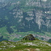 View down from Tristli to the valley 1800 m below.