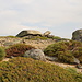 Unterwegs am Cântaro Raso - Blick über typisches Geländes: Zwischen niedrigen Sträuchern liegen verstreut Steinblöcke.