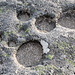 Cântaro Raso - Der Fels ist überall stark verwittert. Hier befinden sich runde Löcher in der Oberfläche, die anderenorts auch gern Potholes genannt werden. 