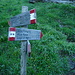 verso l'alpe fontane