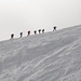 Unsere Schneeschuhgeher-Fraktion als Karawane im Gipfelendspurt.