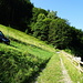 Einstieg in den Zauberweg