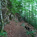 wieder auf dem Wanderweg