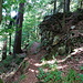 Silberbergsteig - Wegführung