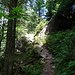 Silberbergsteig - Wegführung