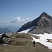 Auf dem Weg zum  Col du Dôme. 